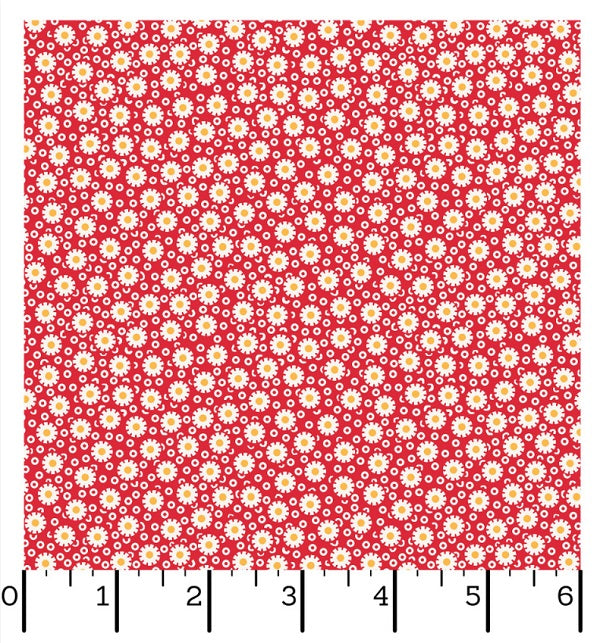 Dilly Dally 10784-R kosse nanat khar kosse