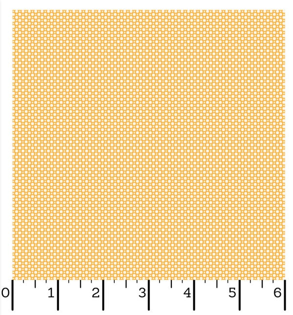 Dilly Dally 10786-S kosse nanat khar kosse