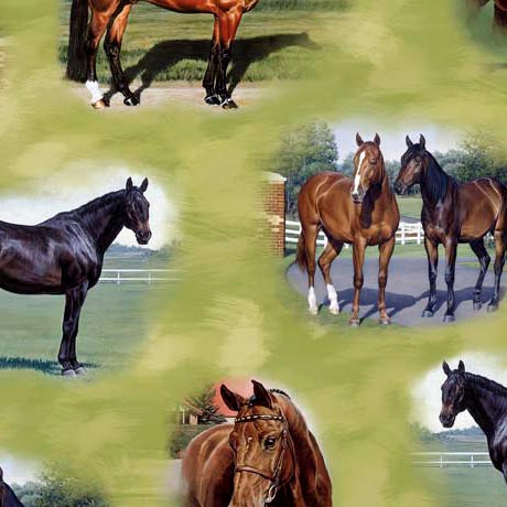 Horse Country 30195H kosse nanat khar kosse