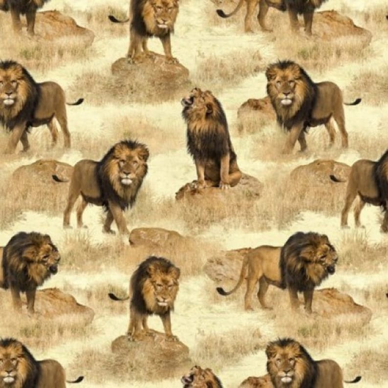 African Safari 78830-110 kosse nanat khar kosse