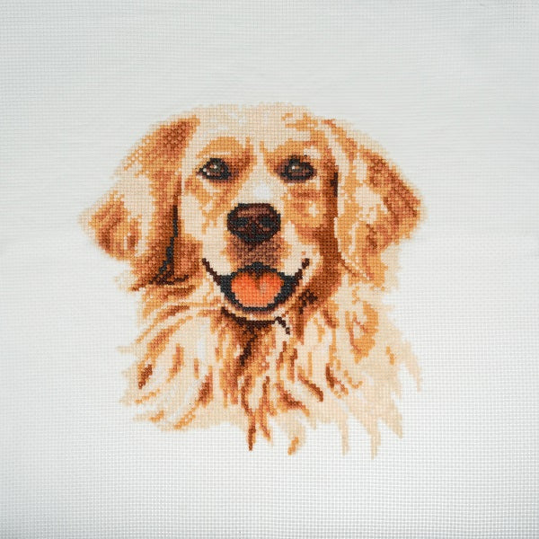 Trimits Cross Stitch Kit Golden Retriever kosse nanat khar kosse
