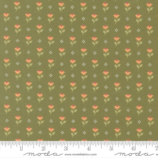 Wild Honey 5252-15 kosse nanat khar kosse