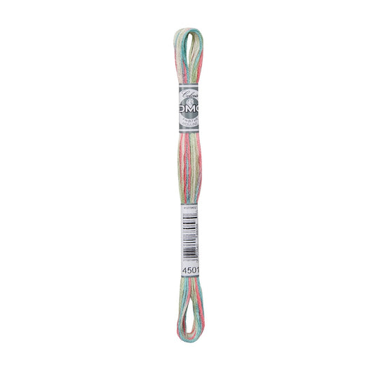 DMC Coloris 4501