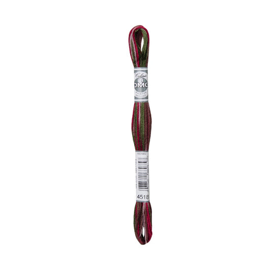 DMC Coloris 4518