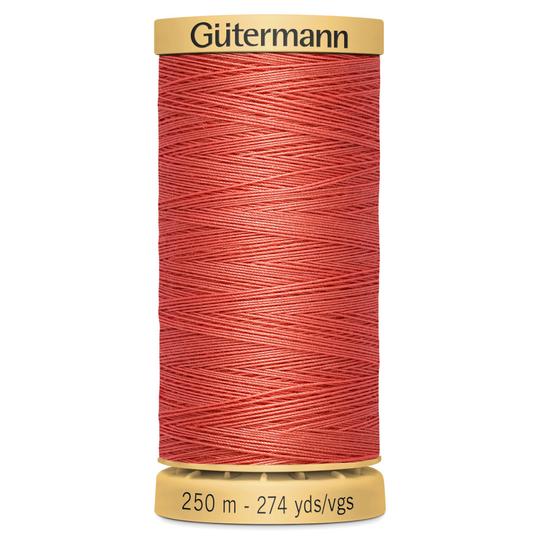 Gutermann Natural Cotton 250m 2166 kosse nanat khar kosse