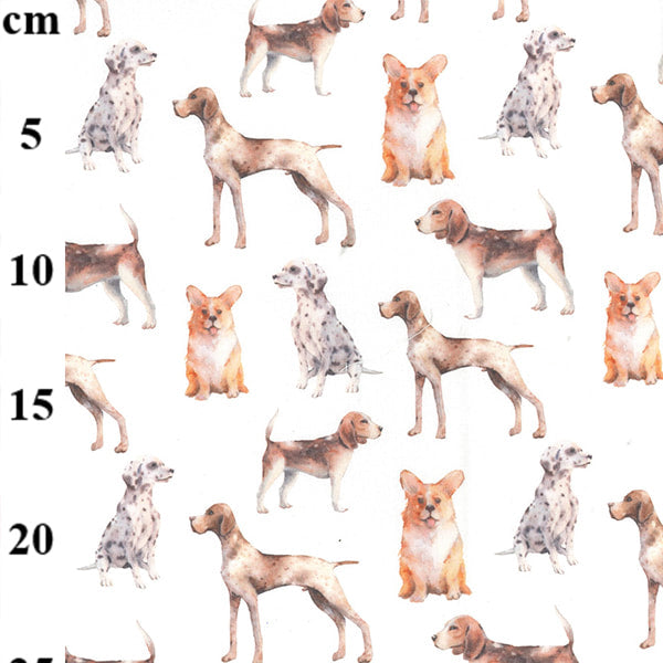 Watercolour Dogs RHD1091 kosse nanat khar kosse