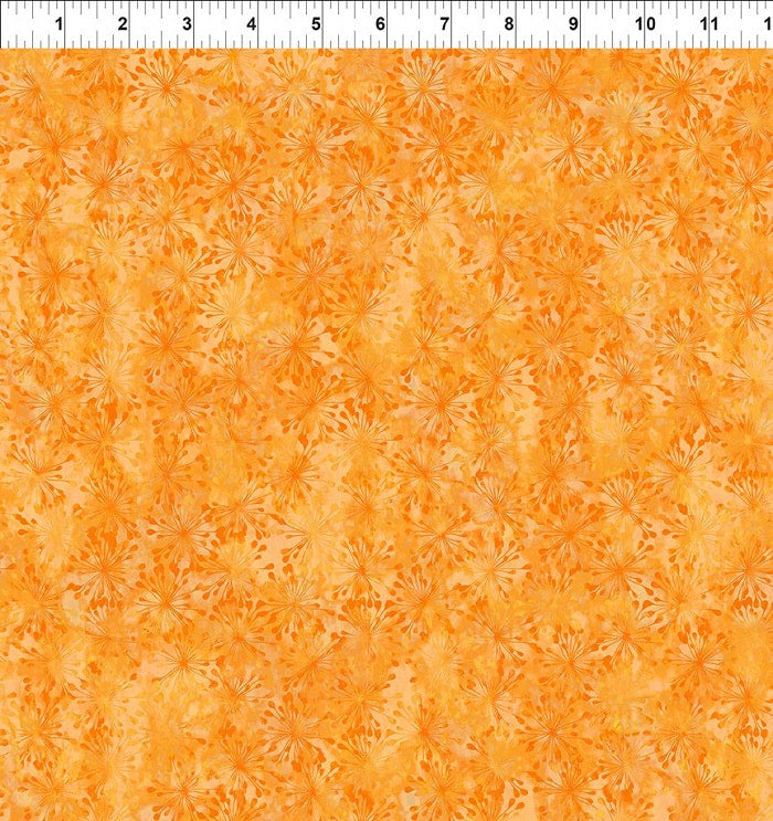 The Sunshine Collection 6SS-1 kosse nanat khar kosse