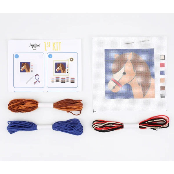 Anchor 1st Long Stitch Dylan Kit kosse nanat khar kosse 