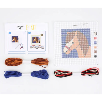 Anchor 1st Long Stitch Dylan Kit