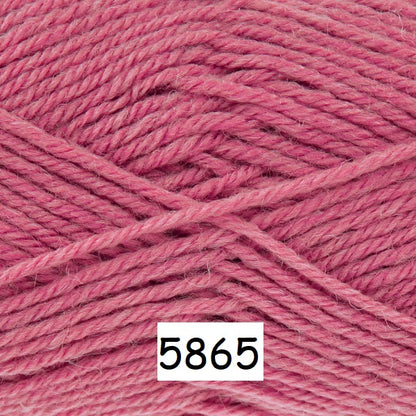 King Cole Orchard DK