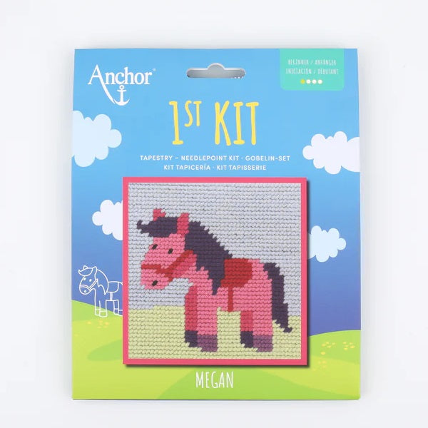 Anchor 1st Tapestry Kit Megan kosse nanat khar kosse 