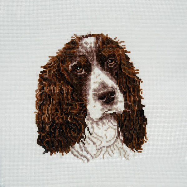 Trimits Springer Spaniel Counted Cross Stitch Kit Large kosse nanat khar kosse 