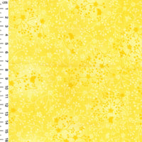 Flutter Lemon kosse nanat khar kosse 