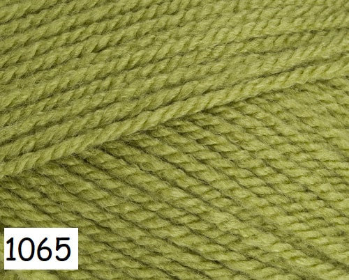 Stylecraft Special Aran
