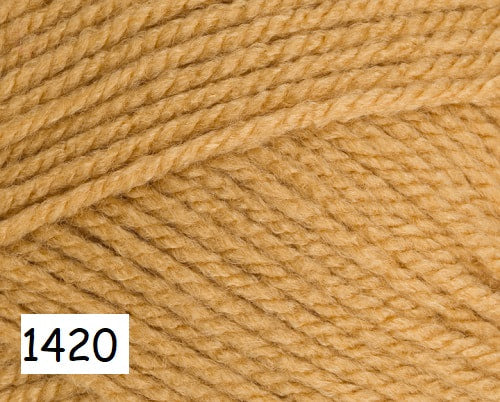 Stylecraft Special Aran