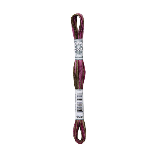 DMC Coloris 4504