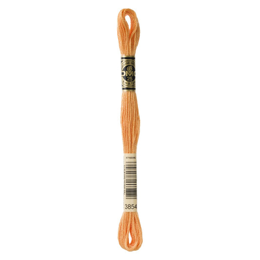 DMC Standard Cotton 3854